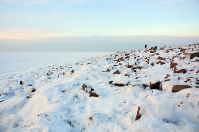 Scenic view of snow covered field