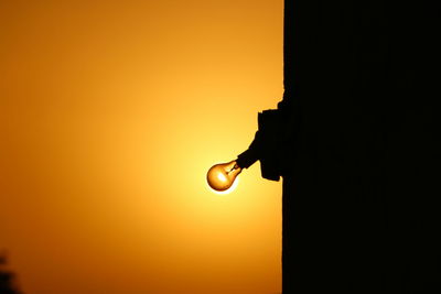 Close-up of silhouette yellow against orange sky