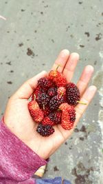 Cropped hand holding mulberries