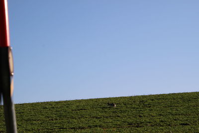 Scenic view of field against clear blue sky