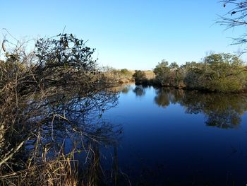 Scenic view of lake against clear blue sky