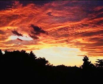 Silhouette trees against cloudy sky during sunset