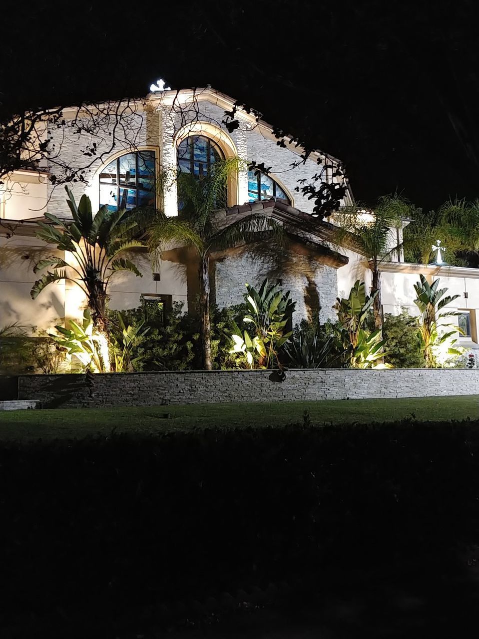 TREES AND PLANTS IN FRONT OF BUILDING