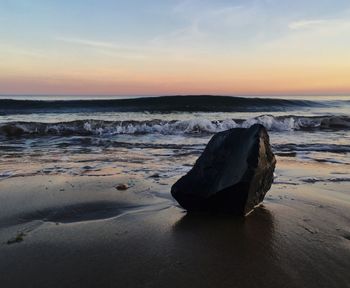 Scenic view of driftwood on beach against sky during sunset