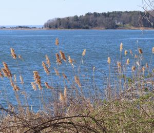 Scenic view of lake against sky