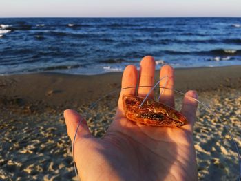 Cropped hand holding crab claw at beach