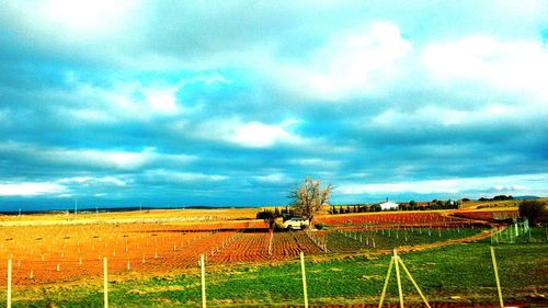 Scenic view of field against sky