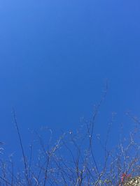 clear sky