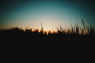 Scenic view of landscape at sunset