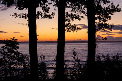 Silhouette trees by sea against sky during sunset