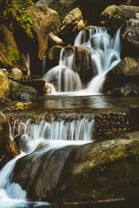 Scenic view of waterfall in forest