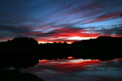 Silhouette of trees at sunset