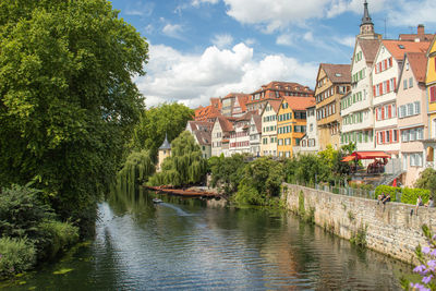 Trees and buildings by river against sky