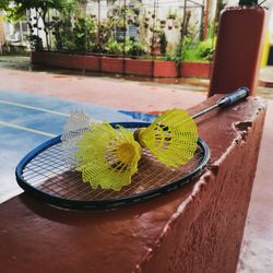 High angle view of fruits in container on table