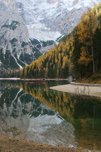 Scenic view of lake in forest