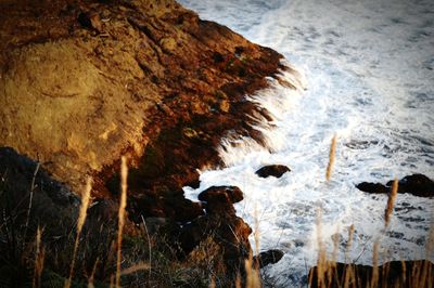 Rocks in water