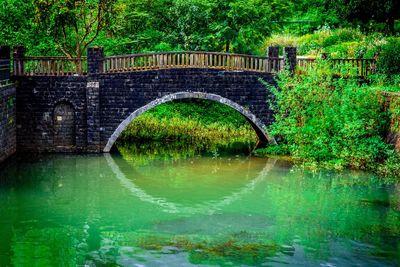 Arch bridge over river against trees