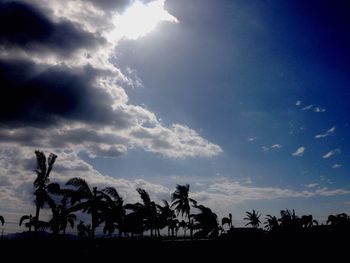 Low angle view of silhouette trees against sky