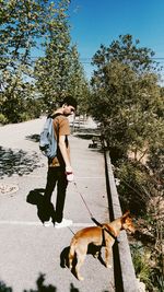 Man with dog walking on footpath at park during sunny day