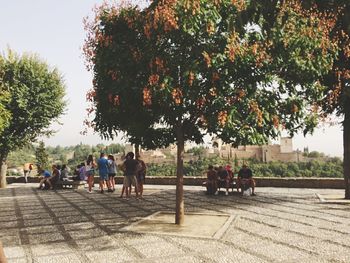 People relaxing in park