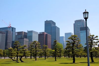 Trees in park by buildings against clear sky