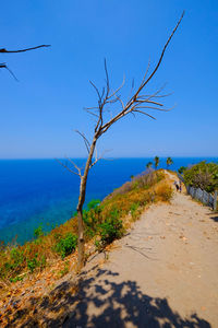 Scenic view of sea against clear blue sky