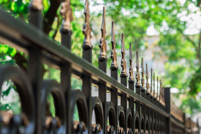 Row of metal fence against plants