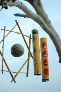 Low angle view of electric hanging on tree against sky