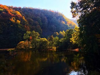 Scenic view of lake in forest during autumn