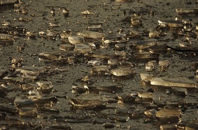 Full frame shot of puddle