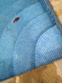 High angle view of starfish on swimming pool