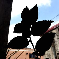 Low angle view of silhouette man against clear sky