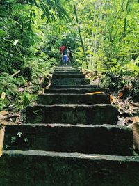 People on staircase in forest