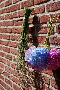 Close-up of flower pot against brick wall