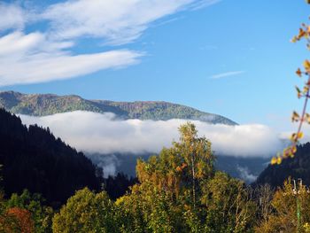 Scenic view of trees and mountains against sky