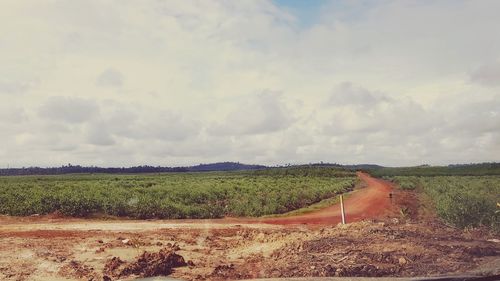 Scenic view of field against sky