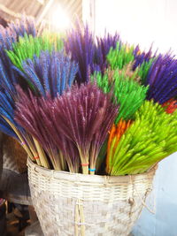 Close-up of plants in basket