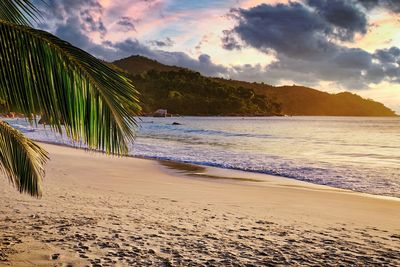 Scenic view of beach against sky during sunset