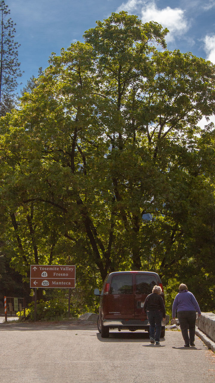 REAR VIEW OF MAN AND CAR ON ROAD