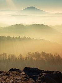 Fall daybreak. misty awakening in a beautiful hills. peaks of hills are sticking out from fog