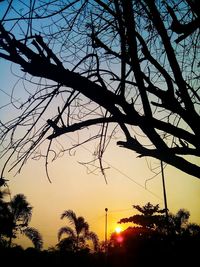 Low angle view of silhouette trees against sky