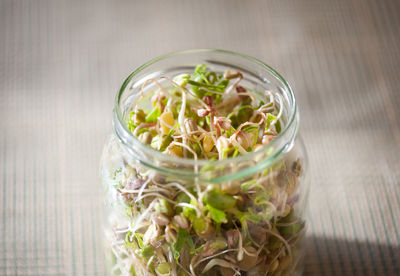 Close-up of vegetables in container