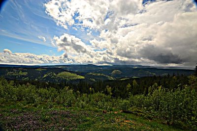 Scenic view of landscape against cloudy sky