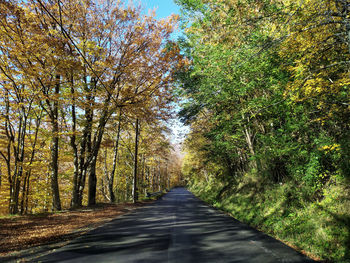 Road amidst trees in forest during autumn