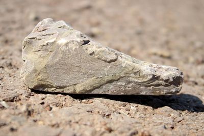 Close-up of rock