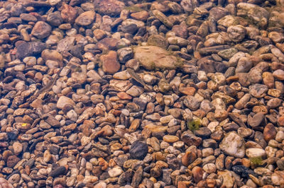 Full frame shot of pebbles