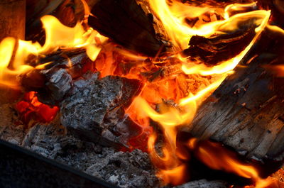 Close-up of burning firewood