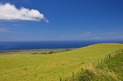 Scenic view of grassy field by sea against sky