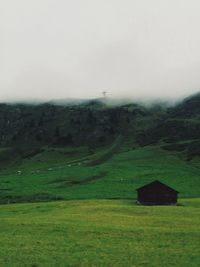 Scenic view of grassy field against sky