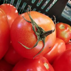 Close-up of tomatoes for sale in market